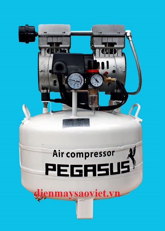 Máy nén khí không dầu giảm âm Pegasus TM-OF750-40L 
