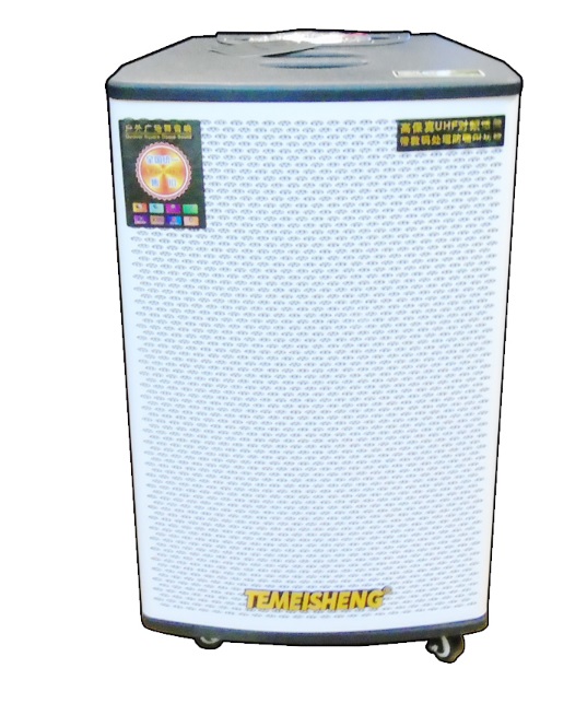 Loa Kéo Di Động Temeisheng GD 12-02 