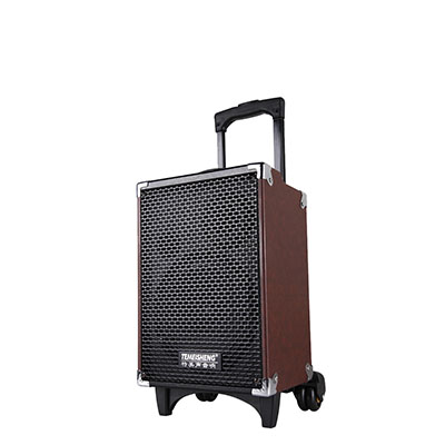 Loa Kéo Temeisheng Q8 