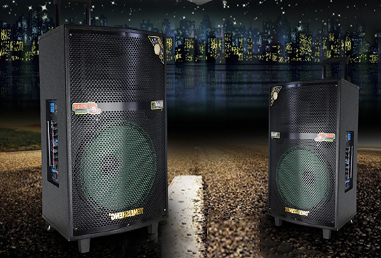 Loa Kéo Temeisheng QX1503 