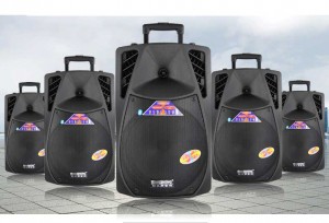 Loa Kéo Temeisheng SL13 