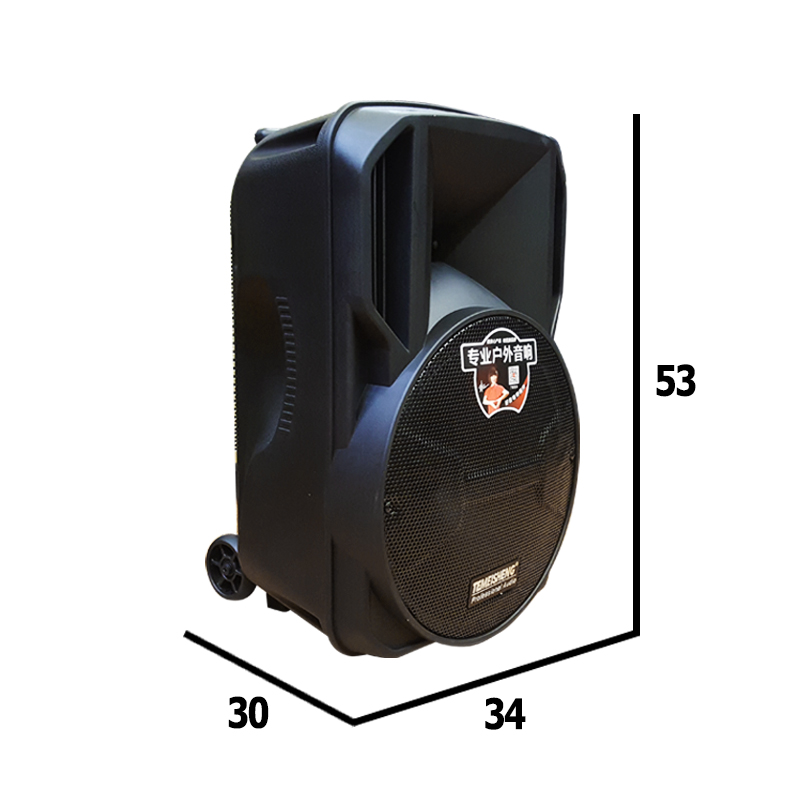 Loa kéo di động Temeisheng A12-65 