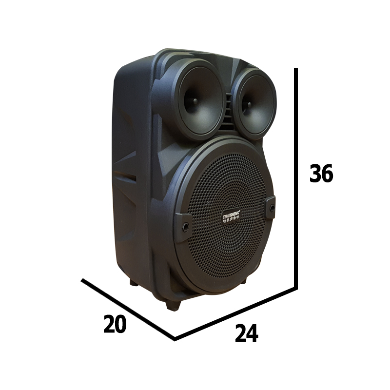 Loa kéo di động mini Temeisheng A8-10 